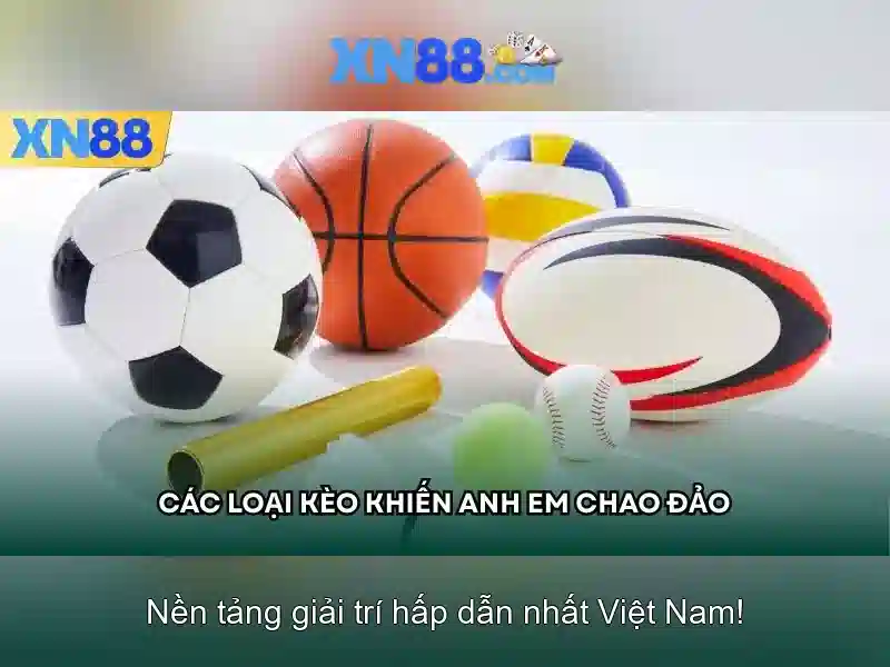 Giới thiệu về xn88