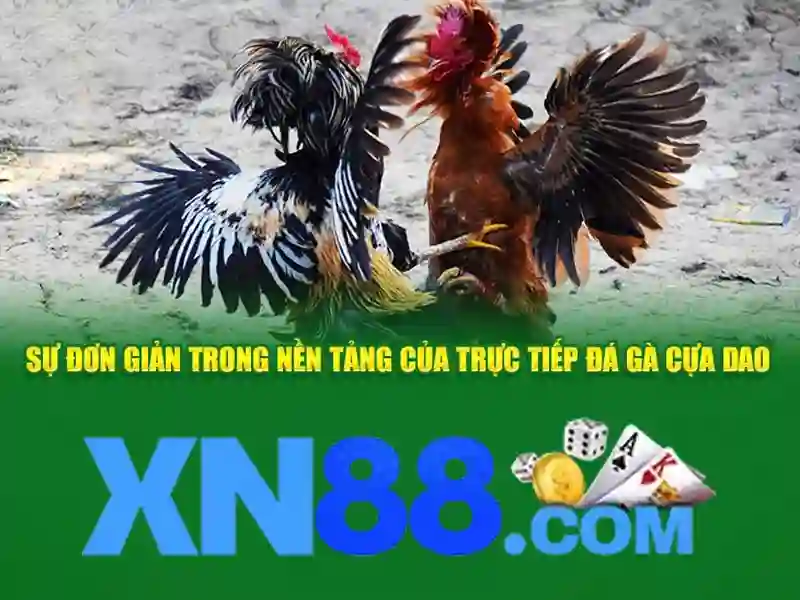 Giới thiệu xn88: Nền tảng giải trí trực tuyến