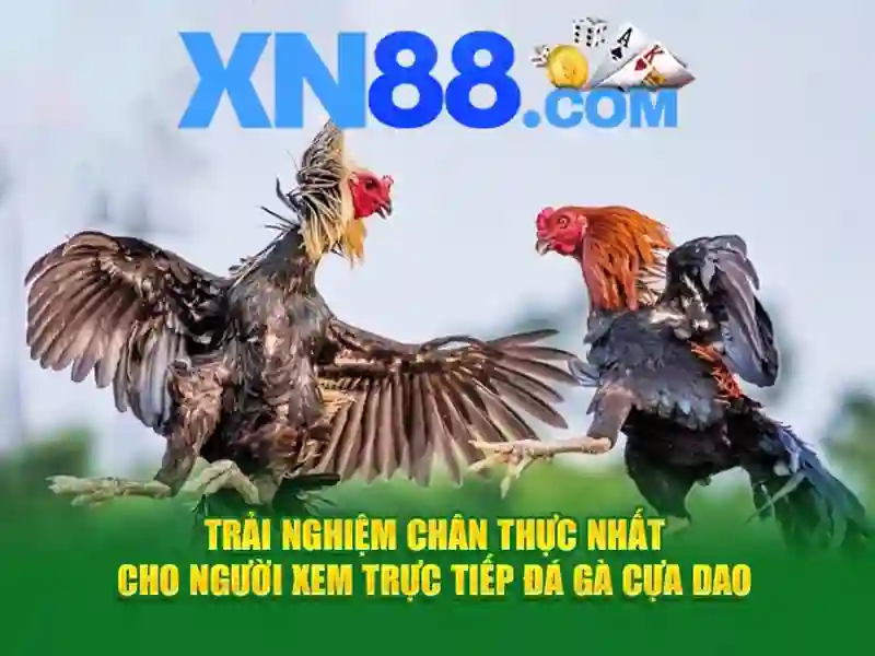 game xn88 – tổng quan chủ đề và giá trị cốt lõi